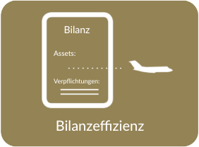 Balance-sheet-Efficiency