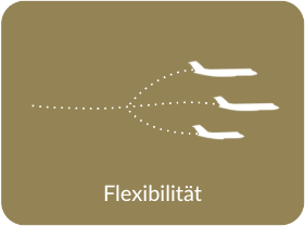 Flexibility